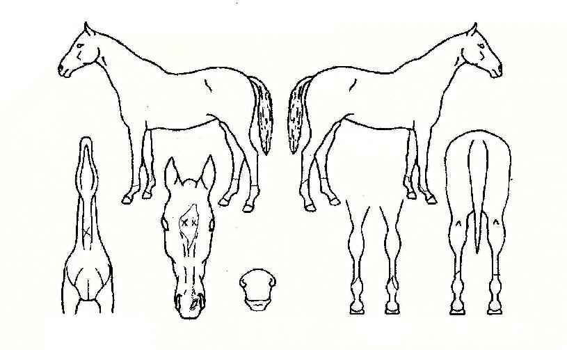 �������Լ��� ����,���,�޸�,�λ�,�ٸ��� Ư¡����