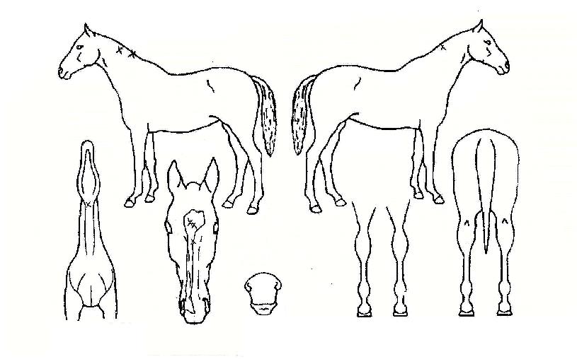 �ݺ������� ����,���,�޸�,�λ�,�ٸ��� Ư¡����