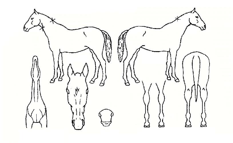 ����Ÿ���� ����,���,�޸�,�λ�,�ٸ��� Ư¡����