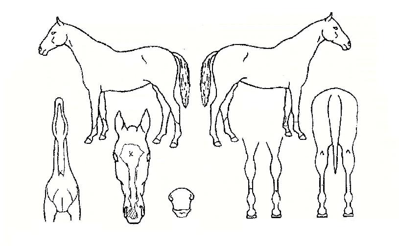 ��ũ������ ����,���,�޸�,�λ�,�ٸ��� Ư¡����