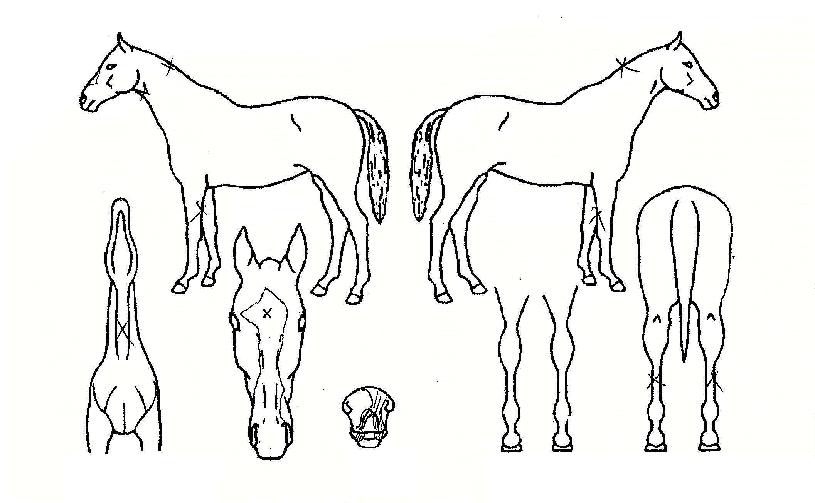 ��Ʈ������ ����,���,�޸�,�λ�,�ٸ��� Ư¡����