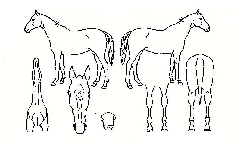 �������� ����,���,�޸�,�λ�,�ٸ��� Ư¡����