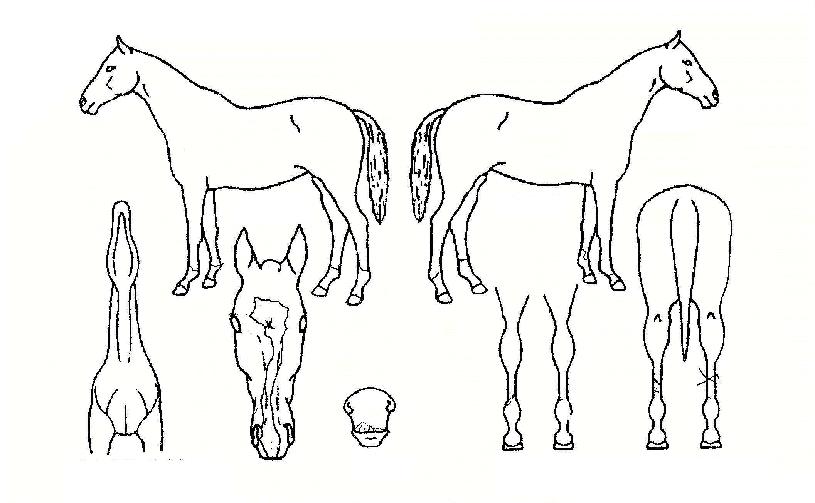 ȭ������� ����,���,�޸�,�λ�,�ٸ��� Ư¡����