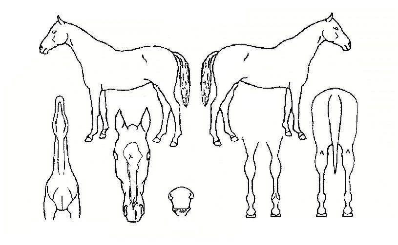 �ۼ��ý����̽��ڸ��� ����,���,�޸�,�λ�,�ٸ��� Ư¡����