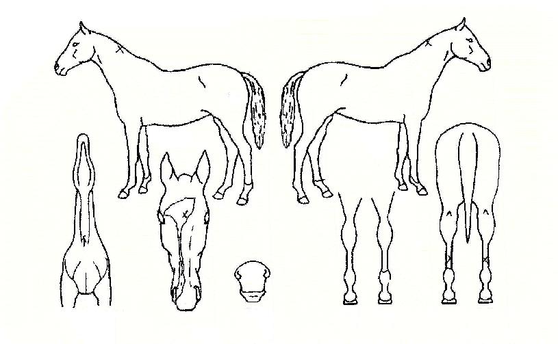 ±Ý°è»êÀÚ¸¶ÀÇ Ãø¸é,¿ì¸é,µÞ¸é,µÎ»ó,´Ù¸®ÀÇ Æ¯Â¡µµÇØ