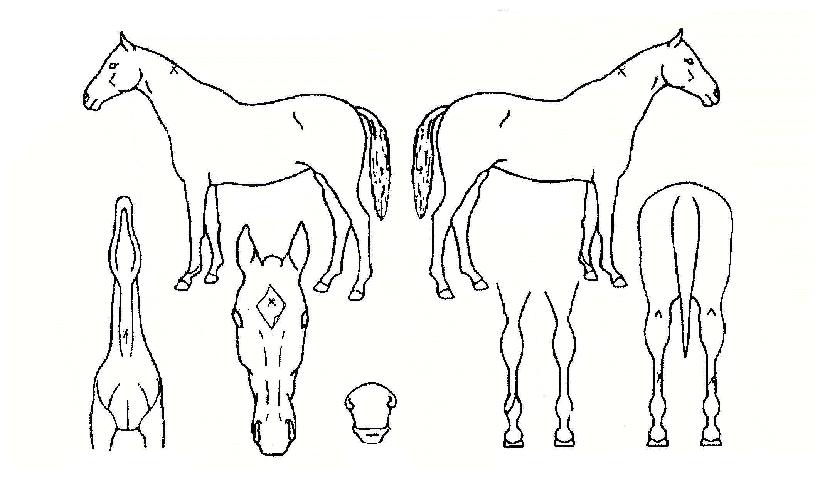 ���̽����� ����,���,�޸�,�λ�,�ٸ��� Ư¡����