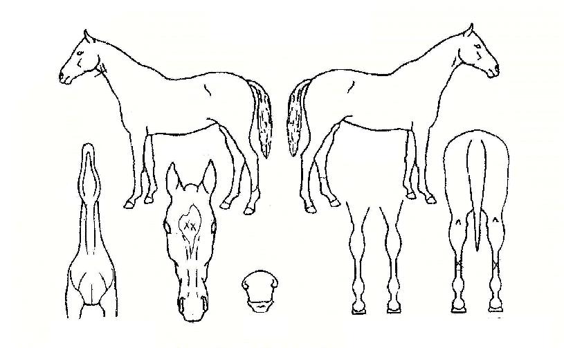 �̽���ġ���ũ�ڸ��� ����,���,�޸�,�λ�,�ٸ��� Ư¡����