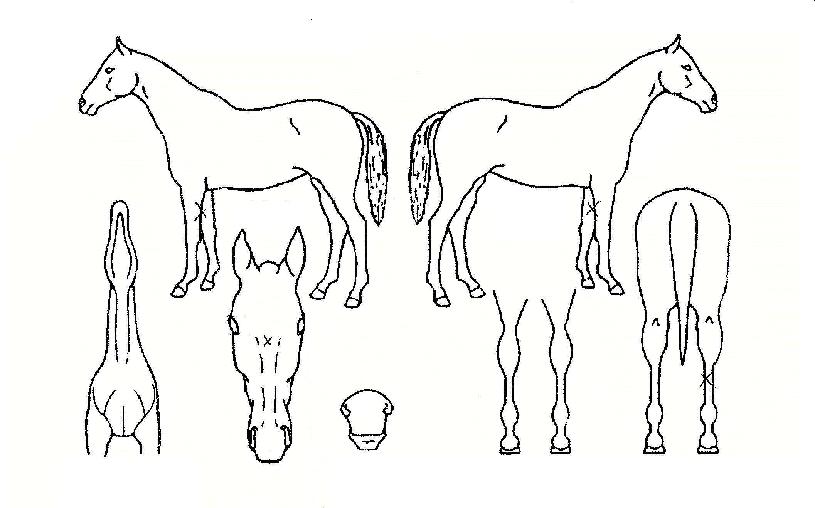 ���ͳ�Ĺ�� ����,���,�޸�,�λ�,�ٸ��� Ư¡����