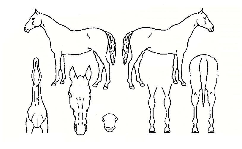 ����ť�� ����,���,�޸�,�λ�,�ٸ��� Ư¡����