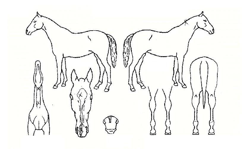 �ܵ������� ����,���,�޸�,�λ�,�ٸ��� Ư¡����