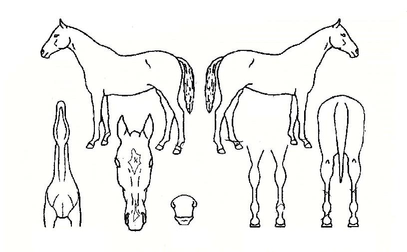 �þ�Ʋ�������� ����,���,�޸�,�λ�,�ٸ��� Ư¡����