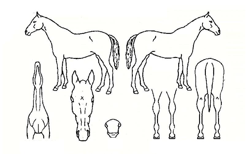 �ְ���ȭ�� ����,���,�޸�,�λ�,�ٸ��� Ư¡����