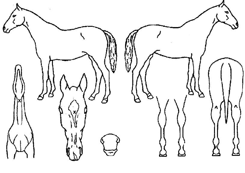 ��������� ����,���,�޸�,�λ�,�ٸ��� Ư¡����