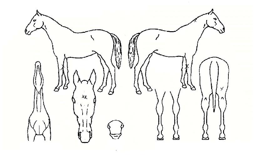 ���꿣���� ����,���,�޸�,�λ�,�ٸ��� Ư¡����