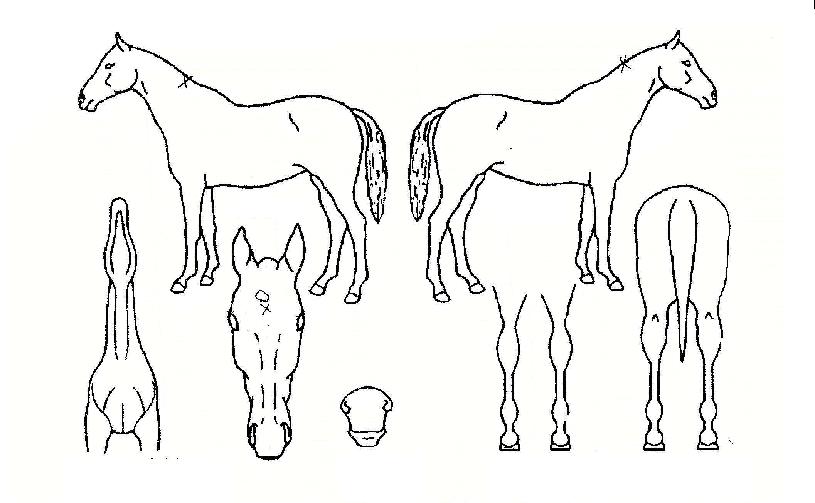 �������� ����,���,�޸�,�λ�,�ٸ��� Ư¡����