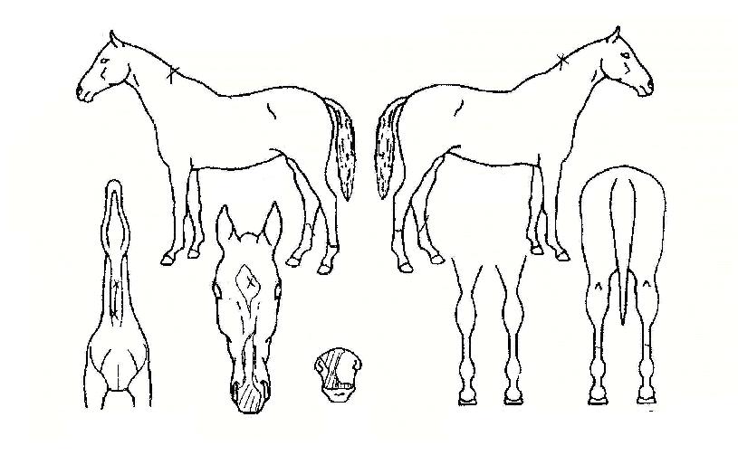 �̽������� ����,���,�޸�,�λ�,�ٸ��� Ư¡����