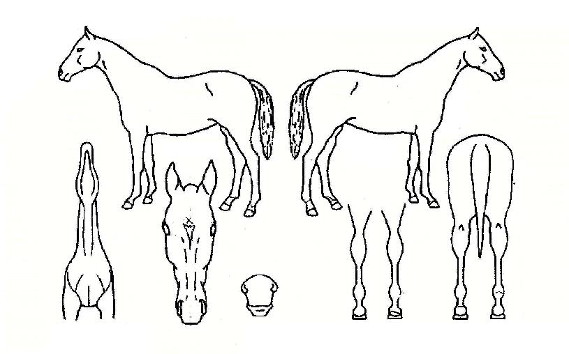 �¸޽����� ����,���,�޸�,�λ�,�ٸ��� Ư¡����