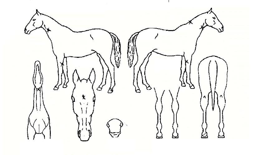 ���ۼ������� ����,���,�޸�,�λ�,�ٸ��� Ư¡����