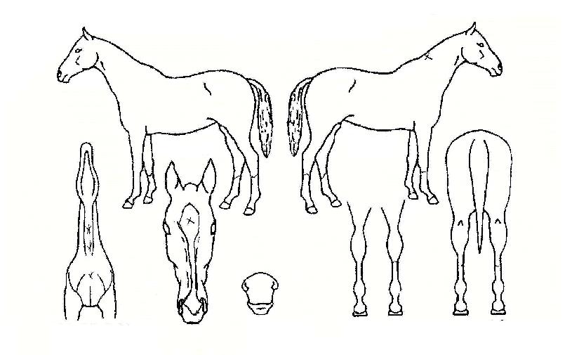 �����ͺ深Ʈ���ڸ��� ����,���,�޸�,�λ�,�ٸ��� Ư¡����