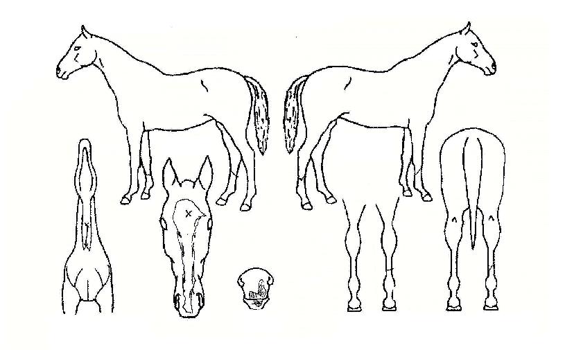 ��������丮�� ����,���,�޸�,�λ�,�ٸ��� Ư¡����