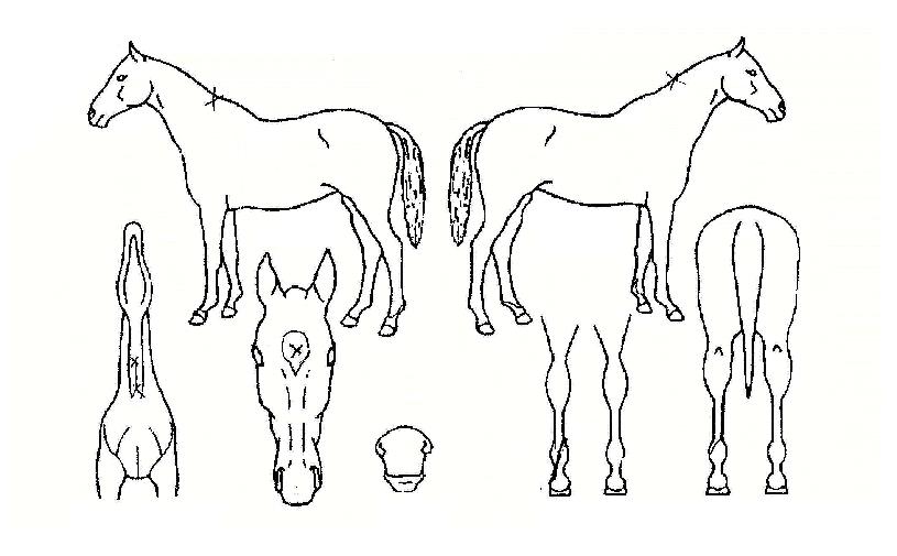 ����ó���� ����,���,�޸�,�λ�,�ٸ��� Ư¡����