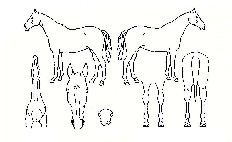 Ŀ�ǿ������ڸ��� ����,���,�޸�,�λ�,�ٸ��� Ư¡����