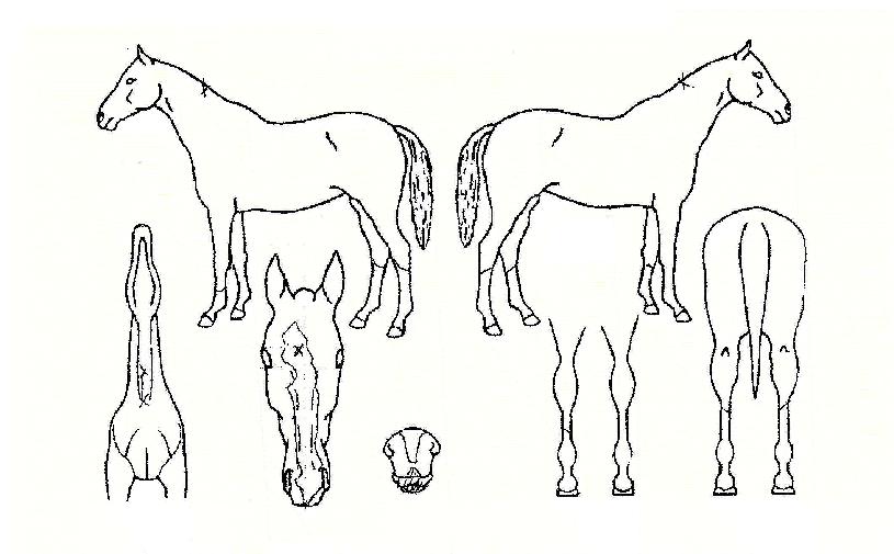 Ŭ�������� ����,���,�޸�,�λ�,�ٸ��� Ư¡����