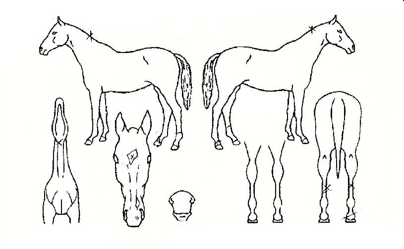 ����ص������� ����,���,�޸�,�λ�,�ٸ��� Ư¡����