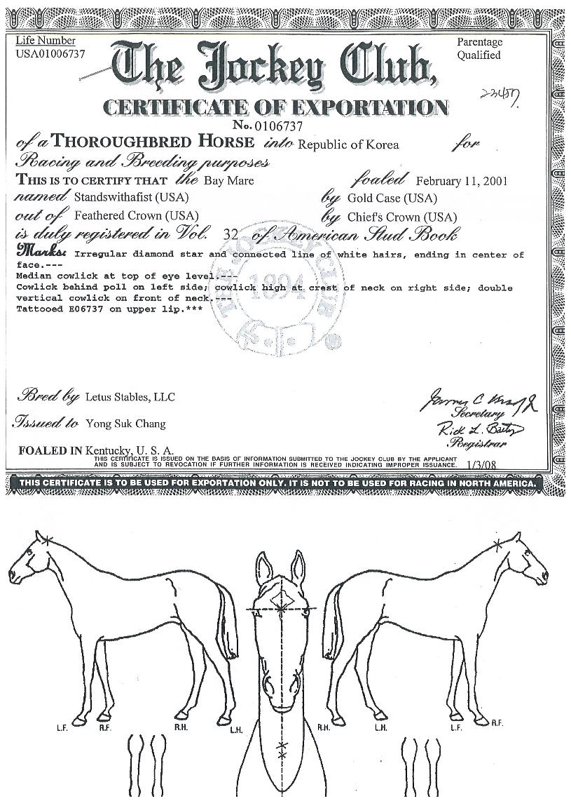 �����������ǽ�Ʈ�� ����,���,�޸�,�λ�,�ٸ��� Ư¡����