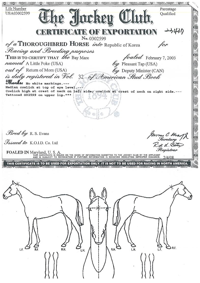 ¼±×¿öÄ¿ÀÇ Ãø¸é,¿ì¸é,µÞ¸é,µÎ»ó,´Ù¸®ÀÇ Æ¯Â¡µµÇØ