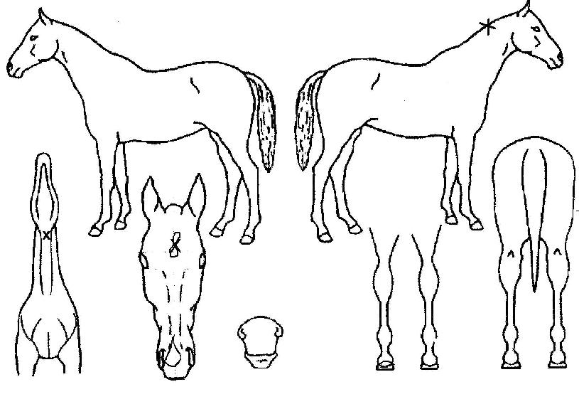 ���ϵ�Ĺ��Ʈ����ũ�� ����,���,�޸�,�λ�,�ٸ��� Ư¡����