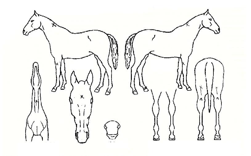 ���ݷξ������ ����,���,�޸�,�λ�,�ٸ��� Ư¡����