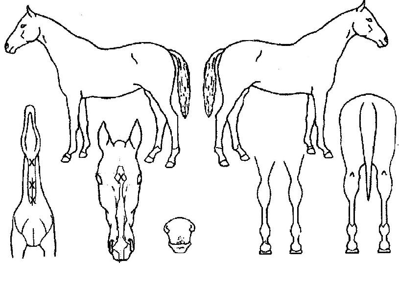 �������� ����,���,�޸�,�λ�,�ٸ��� Ư¡����