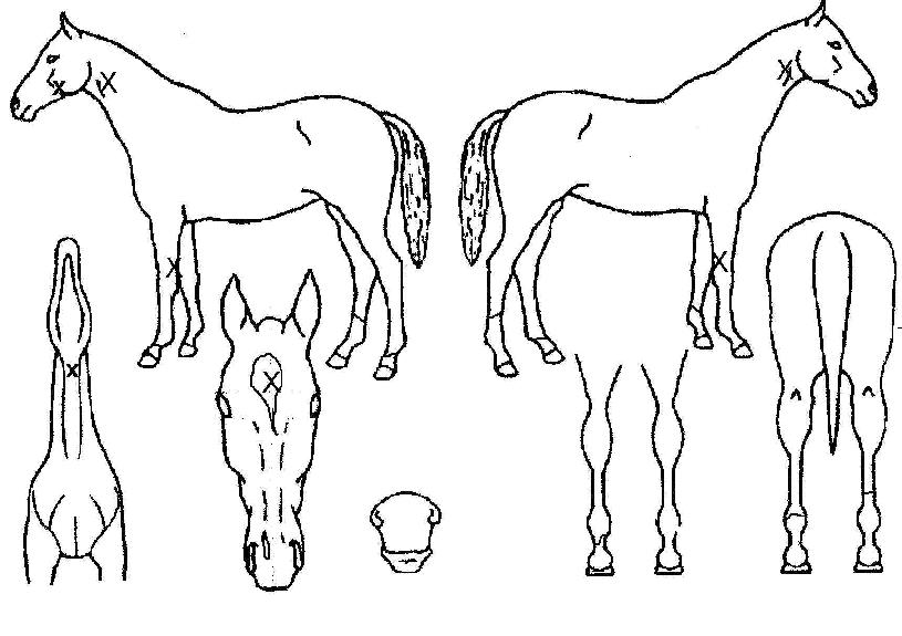 �����ι��̿�ġ���� ����,���,�޸�,�λ�,�ٸ��� Ư¡����