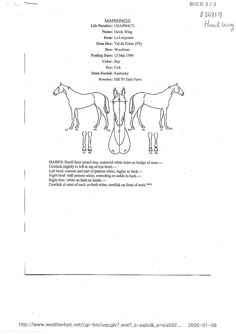 ȣũÀ®ÀÇ Ãø¸é,¿ì¸é,µÞ¸é,µÎ»ó,´Ù¸®ÀÇ Æ¯Â¡µµÇØ