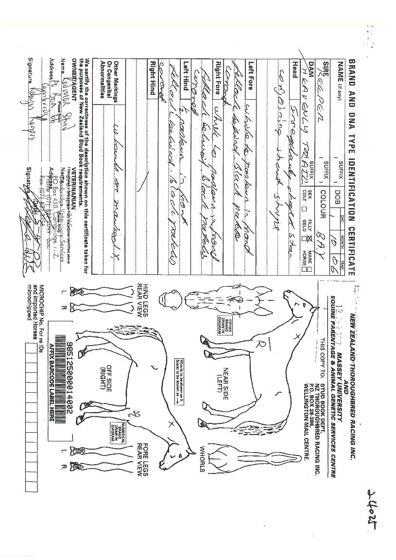 �Ѿ�ó���� ����,���,�޸�,�λ�,�ٸ��� Ư¡����