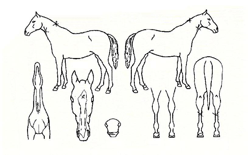 ±â»Ý¿¬ÃâÀÇ Ãø¸é,¿ì¸é,µÞ¸é,µÎ»ó,´Ù¸®ÀÇ Æ¯Â¡µµÇØ