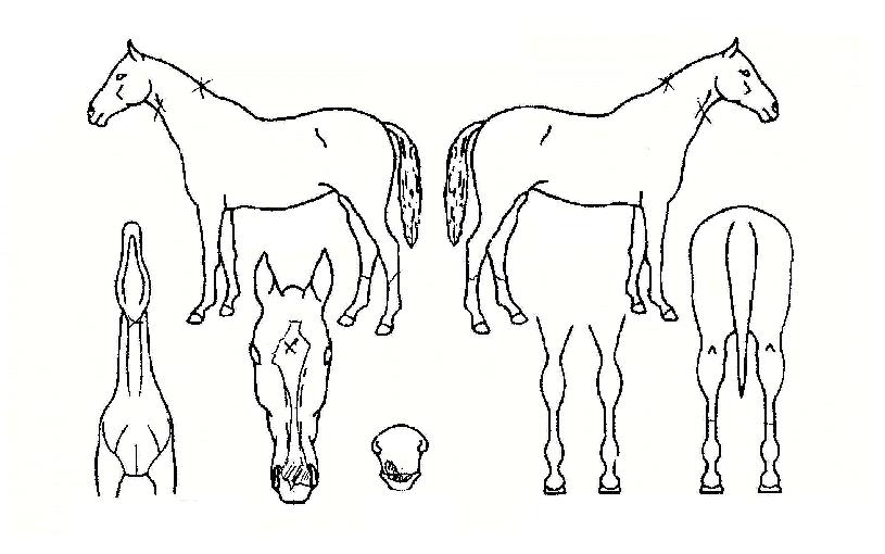 �ް���Ÿ�� ����,���,�޸�,�λ�,�ٸ��� Ư¡����