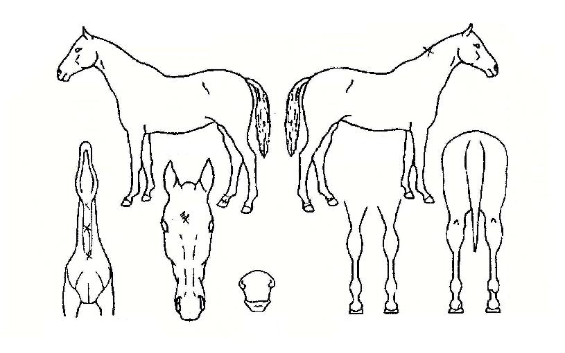 ���丮��ĭ�� ����,���,�޸�,�λ�,�ٸ��� Ư¡����