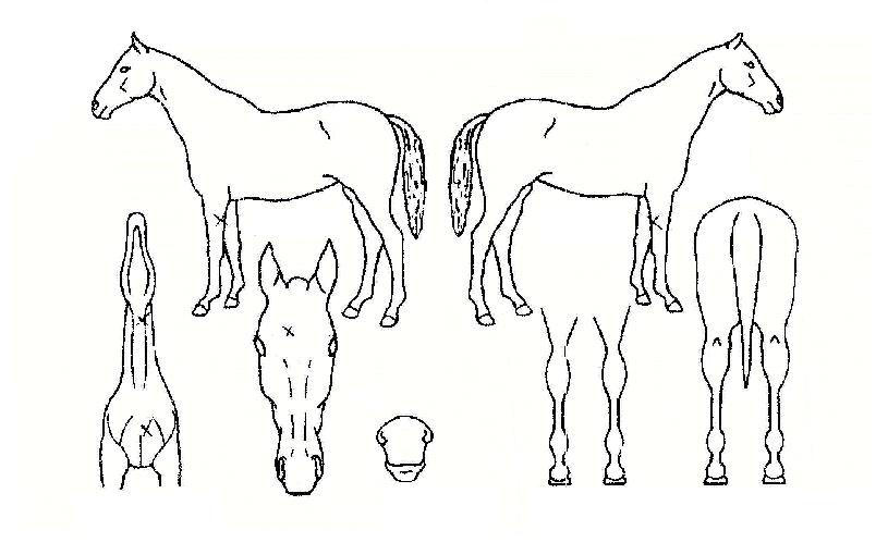 ���ؾ���� ����,���,�޸�,�λ�,�ٸ��� Ư¡����