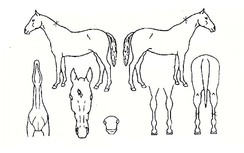 Ŭ�������� ����,���,�޸�,�λ�,�ٸ��� Ư¡����