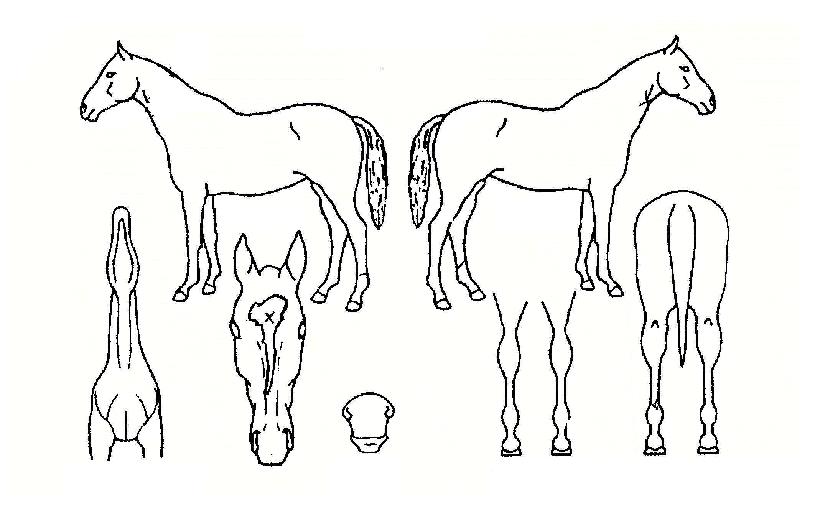 �ú��������� ����,���,�޸�,�λ�,�ٸ��� Ư¡����