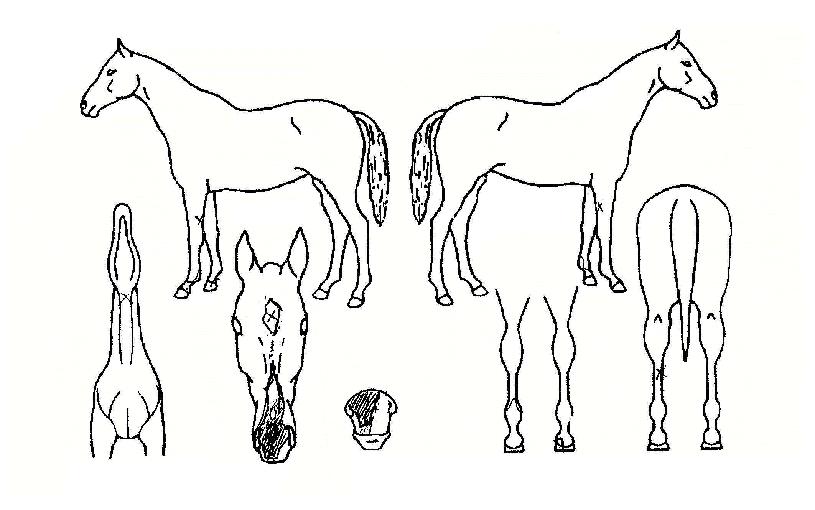 ������̽��� ����,���,�޸�,�λ�,�ٸ��� Ư¡����