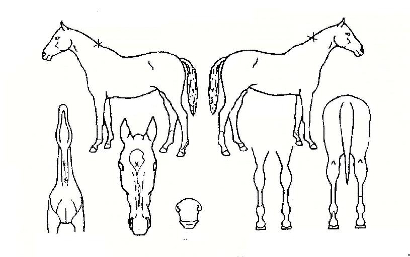 ���̽������� ����,���,�޸�,�λ�,�ٸ��� Ư¡����