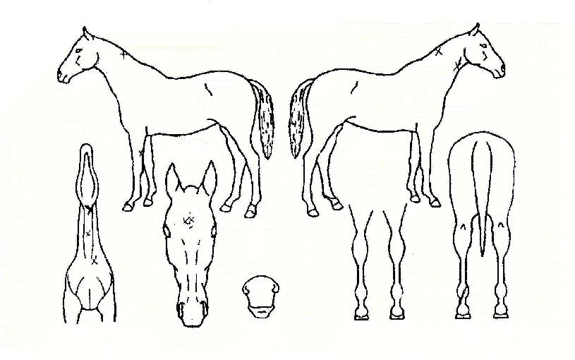 ���������� ����,���,�޸�,�λ�,�ٸ��� Ư¡����