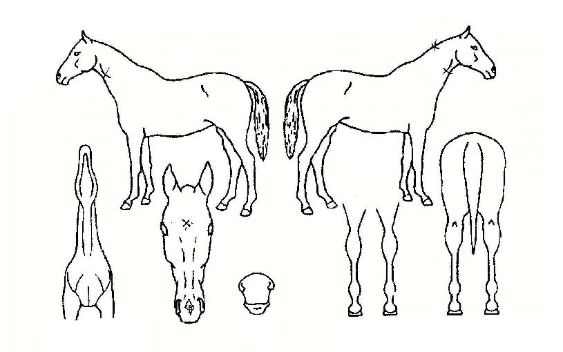 ����Ƽ��̼��� ����,���,�޸�,�λ�,�ٸ��� Ư¡����