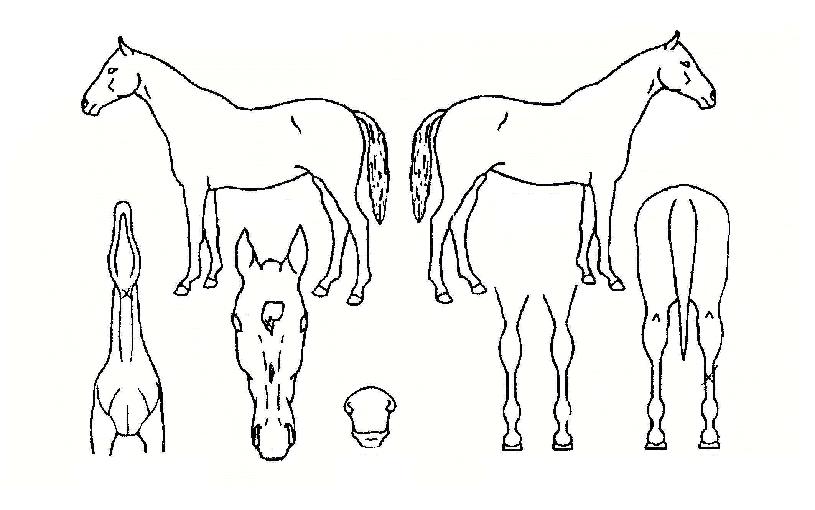 ����ƾ���̽��� ����,���,�޸�,�λ�,�ٸ��� Ư¡����