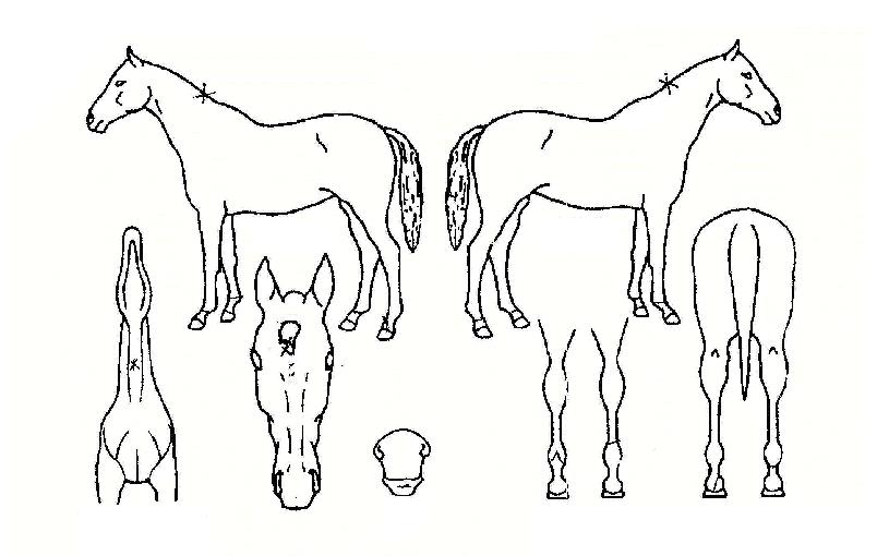 ��Ƽ�����ڸ��� ����,���,�޸�,�λ�,�ٸ��� Ư¡����