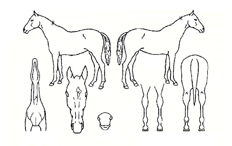 ¸ÞÀÌÅ©¿À¹öÀÚ¸¶ÀÇ Ãø¸é,¿ì¸é,µÞ¸é,µÎ»ó,´Ù¸®ÀÇ Æ¯Â¡µµÇØ