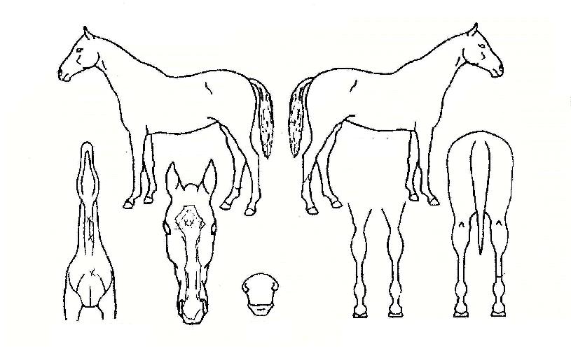 �û���� ����,���,�޸�,�λ�,�ٸ��� Ư¡����